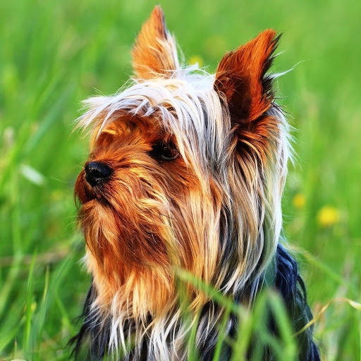 Hd-147607-ascw147607