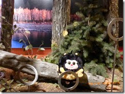 Bumble sitting on a log in the forest display