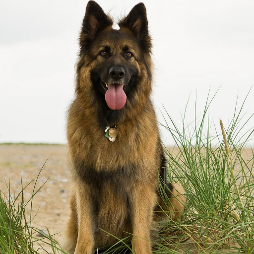 Hd-181828-ascw181828