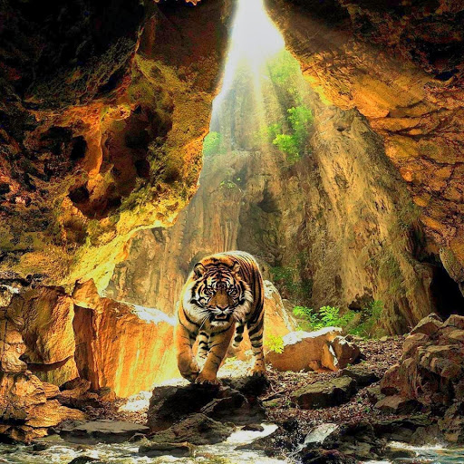 Hd-174908-ascw174908