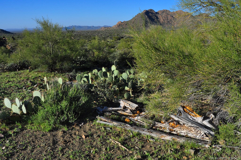 [DSC_0009%255B4%255D.jpg]