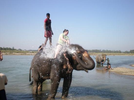 [royal-chitwan-national%255B2%255D.jpg]