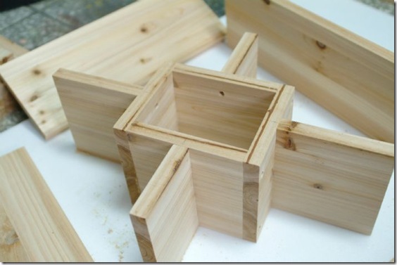 Gallery2764_3