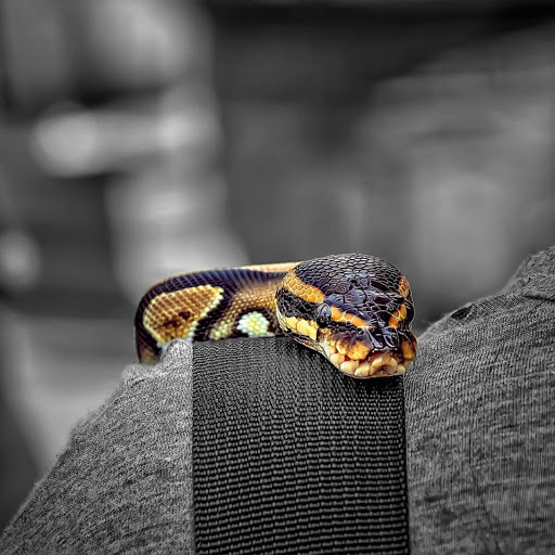 Hd-180453-ascw180453