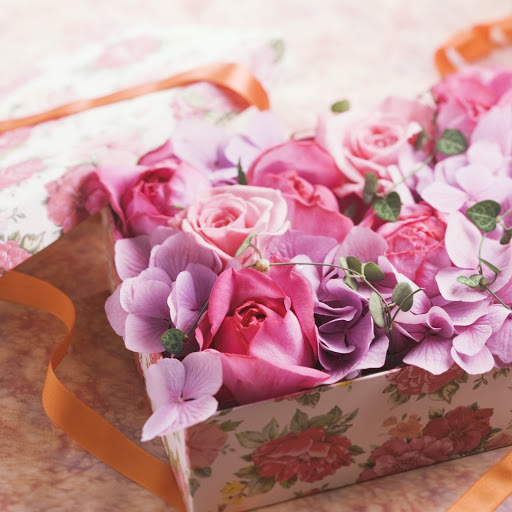 Hd-145555-ascw145555