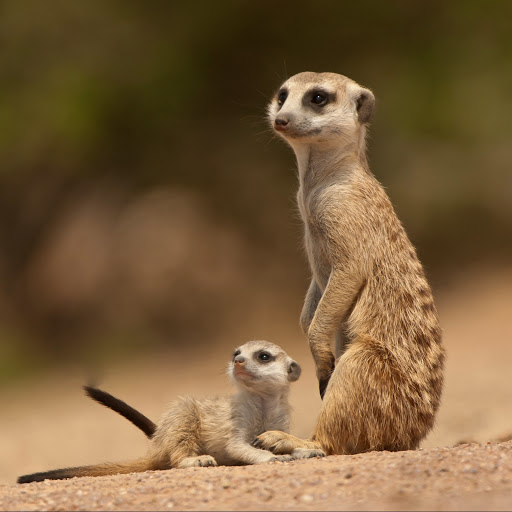 Hd-141128-ascw141128