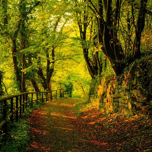 Hd-143372-ascw143372