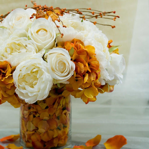 Hd-159269-ascw159269