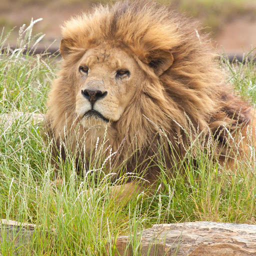 Hd-190563-ascw190563