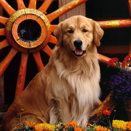 Hd-181833-ascw181833