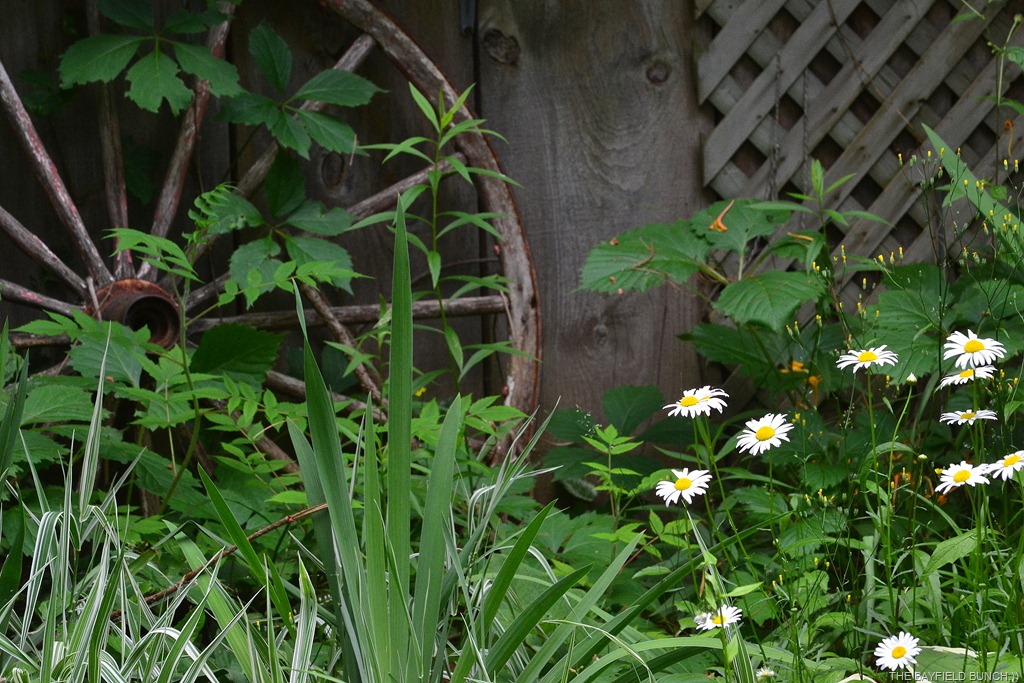 [DSC_0014%255B4%255D.jpg]