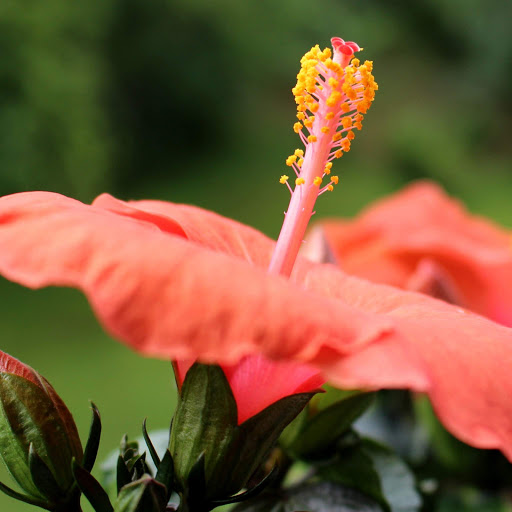 Hd-152642-ascw152642