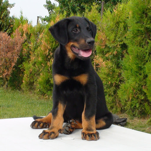 Hd-180651-ascw180651