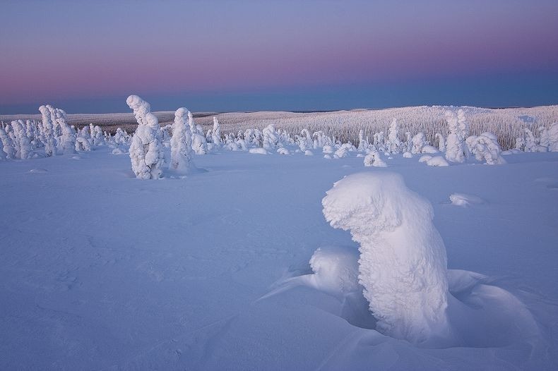 Sentinels-of-the-Arctic-1