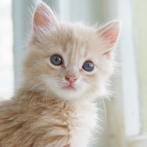 Hd-153354-ascw153354