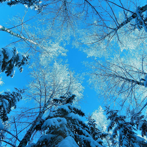 Hd-166357-ascw166357