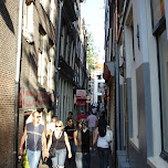 alley ways in amsterdam in Amsterdam, Netherlands 