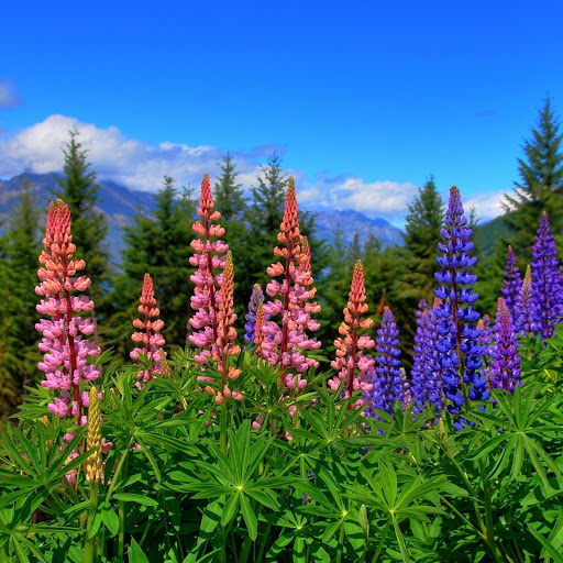 Hd-147591-ascw147591