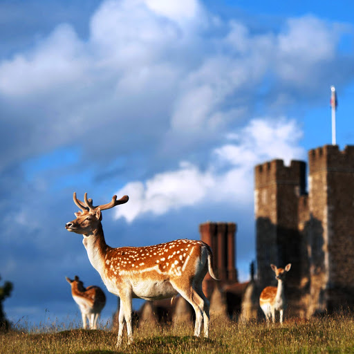 Hd-145857-ascw145857