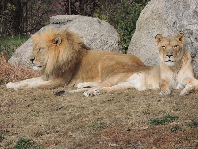 [DSCN1055%255B3%255D.jpg]