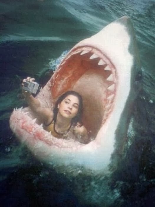 selfie-tubarão