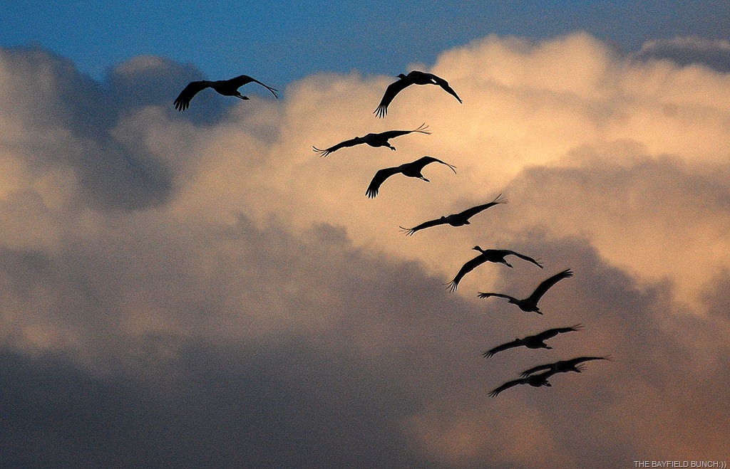 [DSC_5226%255B8%255D.jpg]