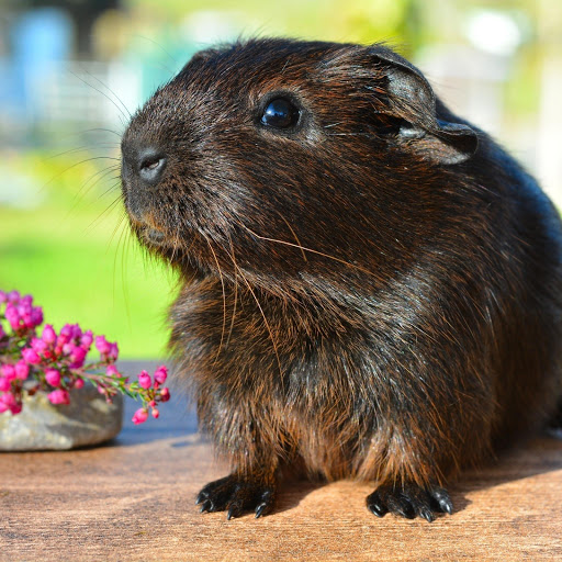 Hd-174741-ascw174741