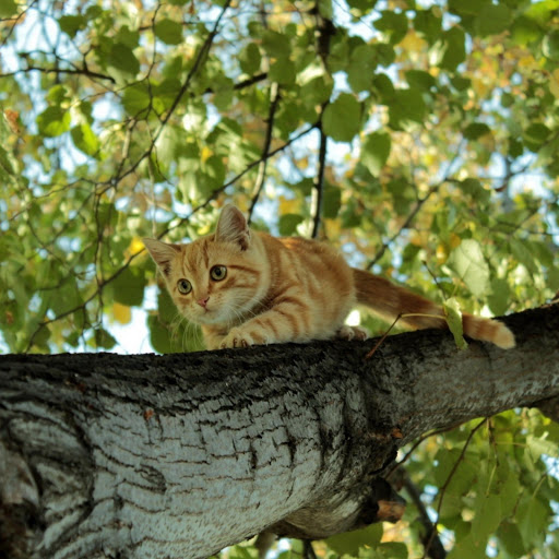 Hd-182504-ascw182504