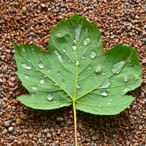 Hd-152595-ascw152595