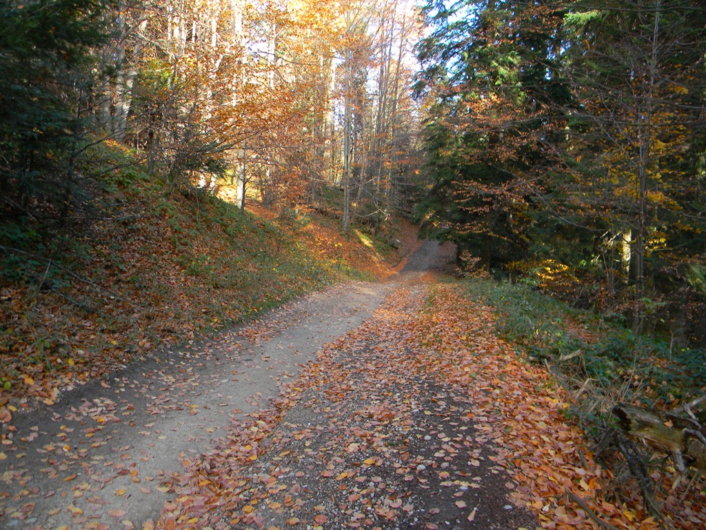 [DSCN94263.jpg]