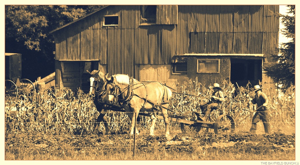 [DSC_6992%255B27%255D.jpg]