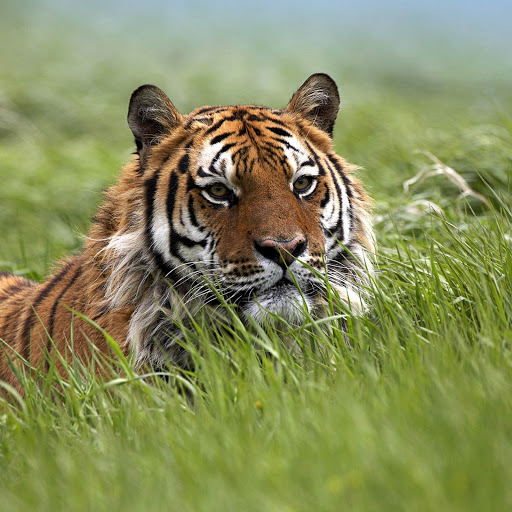 Hd-153495-ascw153495