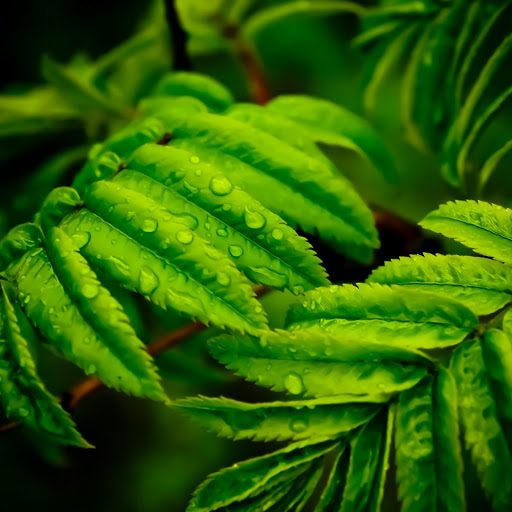 Hd-146633-ascw146633