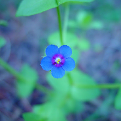 Hd-152624-ascw152624