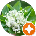 Image Google de Ghislaine Bozec