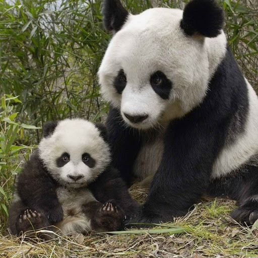 Hd-143877-ascw143877