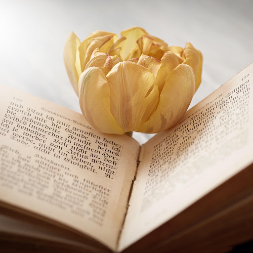 Hd-186226-ascw186226