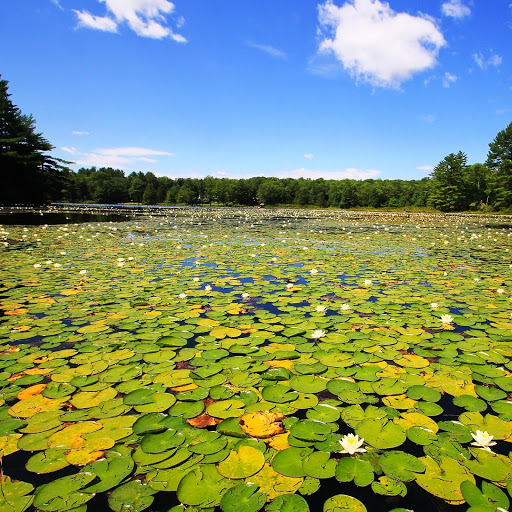 Hd-146366-ascw146366