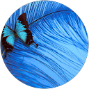 Image Google de catherine gillet
