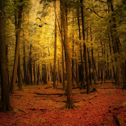 Hd-174295-ascw174295