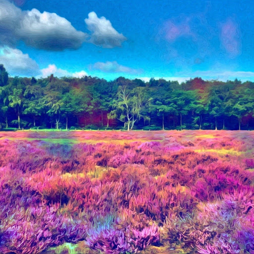 Hd-132104-ascw132104