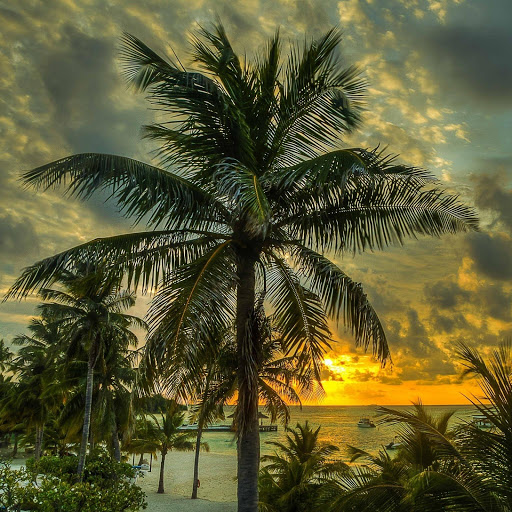 Hd-132890-ascw132890