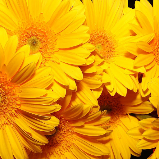 Hd-143618-ascw143618