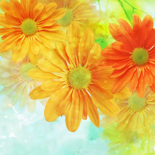 Hd-144337-ascw144337