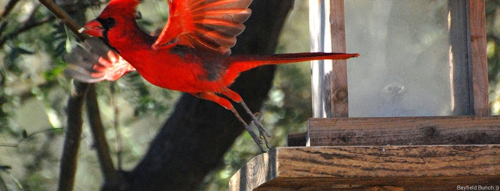 [DSC_1954%255B3%255D.jpg]