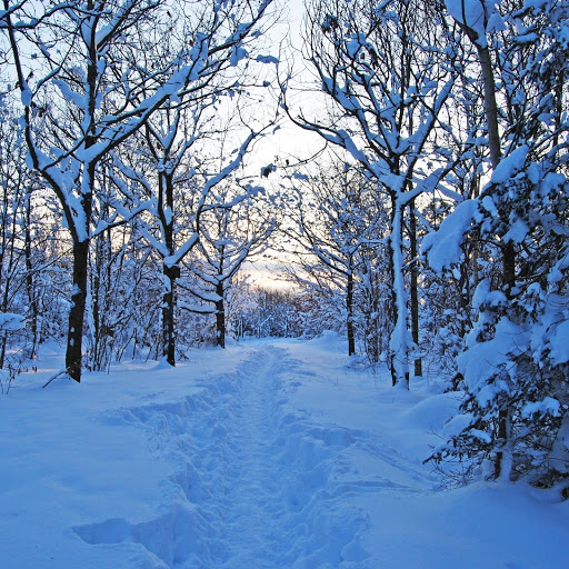 Hd-132008-ascw132008