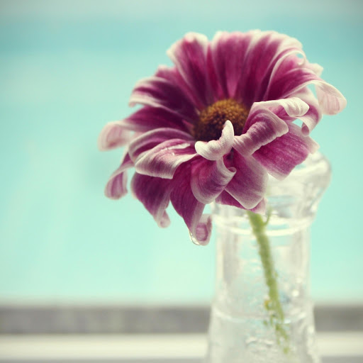 Hd-170694-ascw170694