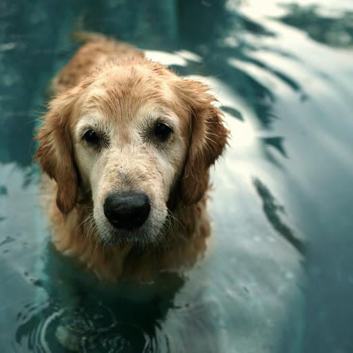 Hd-137505-ascw137505