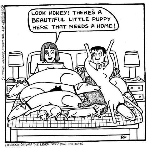 Welcome to Couch 27