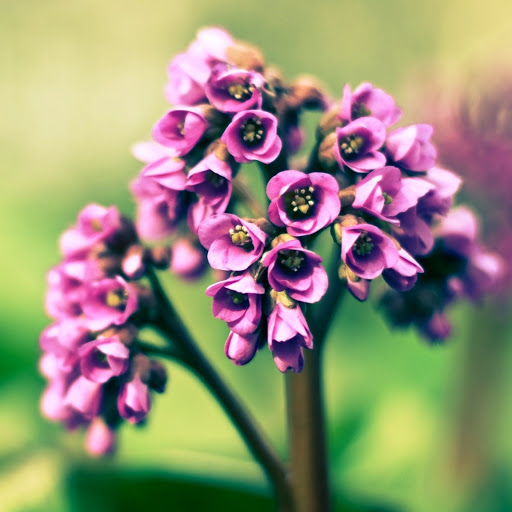 Hd-175893-ascw175893